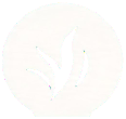 Greenshine logo
